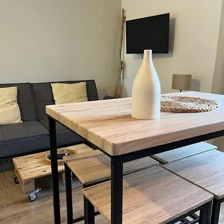 Apartment Cosy Avec Jardin Quartier Calme *