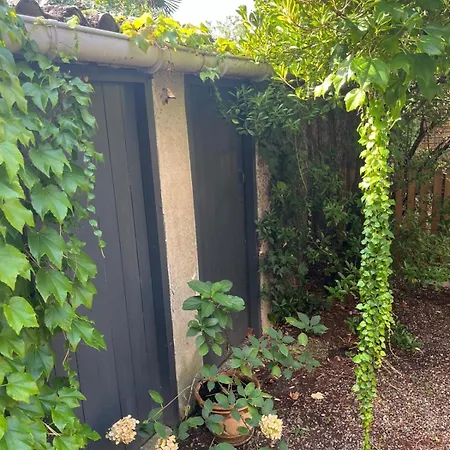 Apartment Cosy Avec Jardin Quartier Calme *